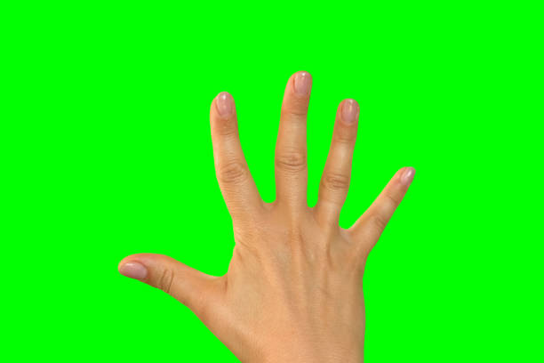 ジェスチャーパック。女性の手がクロマキーグリーンスクリーンに触れ、クリックし、タップし、スワイプします。ズームイン、ズームアウト。クローズアップ。4kフッテージパック。スマ� - close up touchpad computer index finger ストックフォトと画像