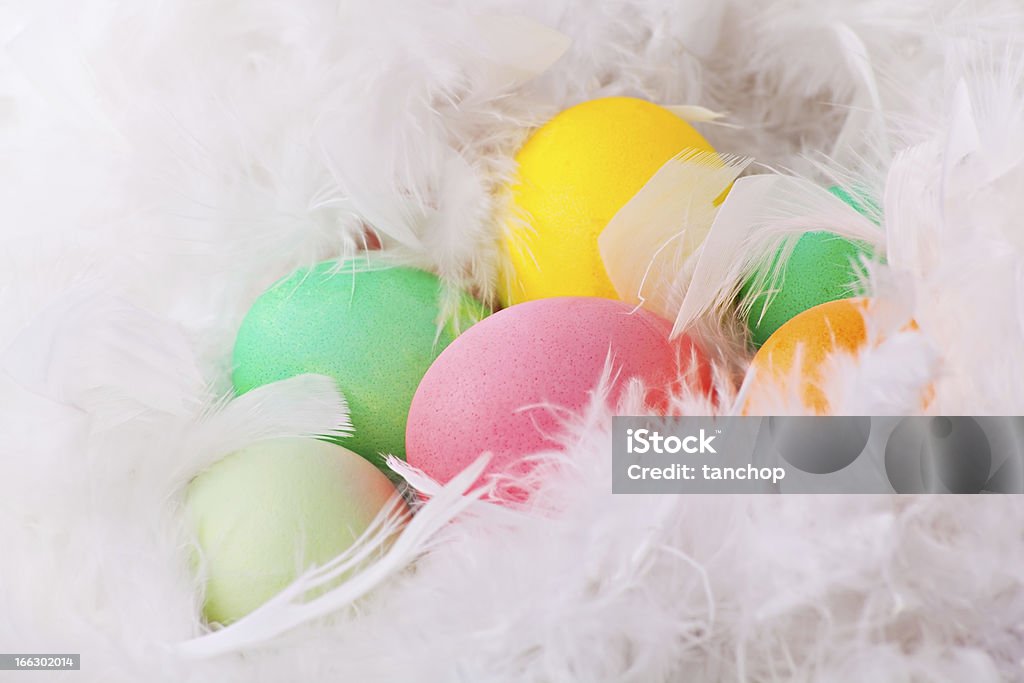 Oeufs de Pâques colorés en blanc plumes - Photo de Aliment libre de droits