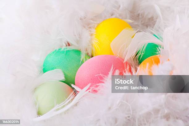 Photo libre de droit de Oeufs De Pâques Colorés En Blanc Plumes banque d'images et plus d'images libres de droit de Aliment - Aliment, Couleur, Cultures