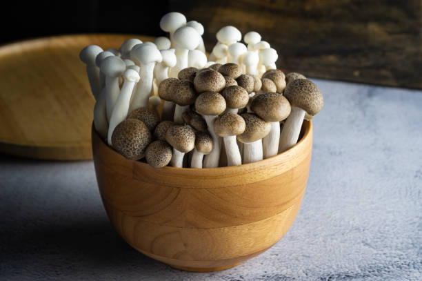istock Fresh brown and white shimeji mushrooms 1663028760