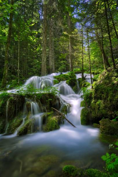 istock Scenic view of a waterfall cascading down the mossy rocks in a forest 1663039563