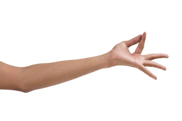 istock symbols of hand,hend different indications image 1663043287