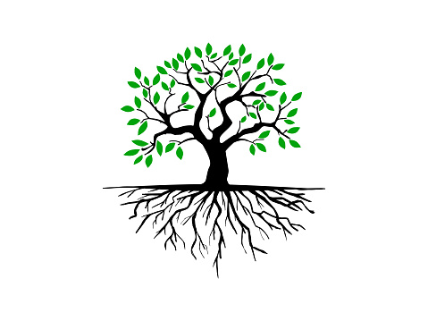 Tree and roots with green leaves look beautiful and refreshing. Tree and root flat symbol style.