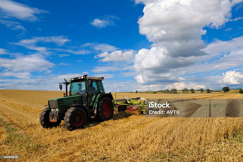 Tracteur dans le champ de blé sous le spectaculaire ciel nuageux au Harvest - Photo de Tracteur libre de droits