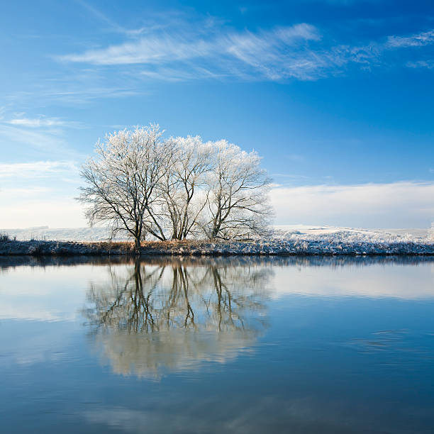 istock Frozen Winter Landscape with Trees Reflecting in River 166308522