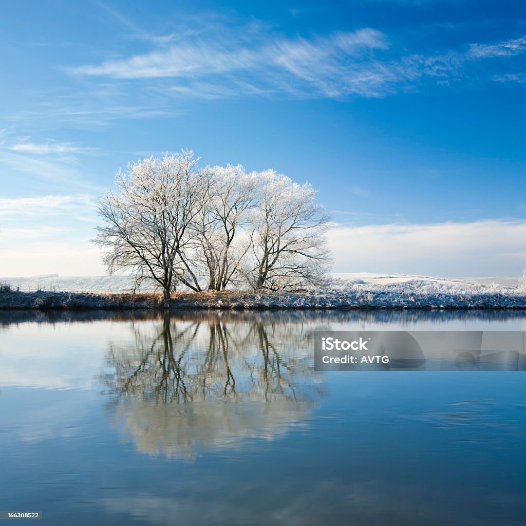 Frozen Winter Landscape with Trees Reflecting in River STITCHED from 3 5D frames 2000-2009 Stock Photo