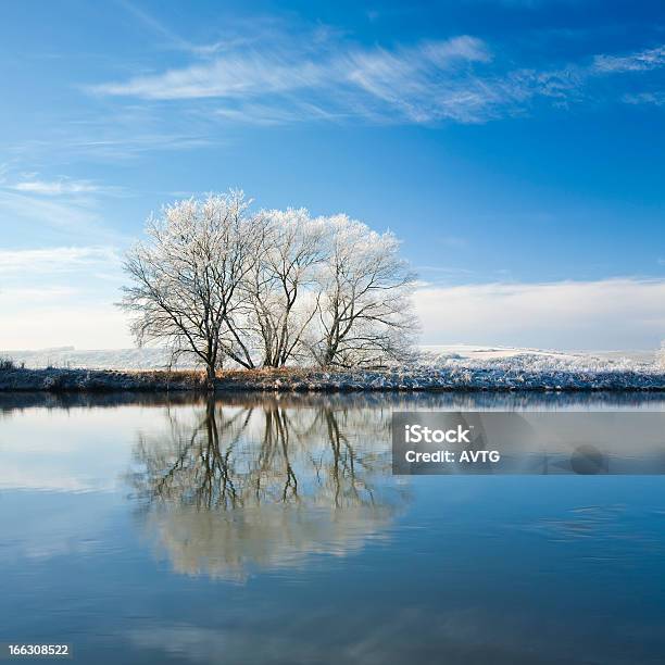 Frozen Winter Landscape With Trees Reflecting In River Stock Photo - Download Image Now