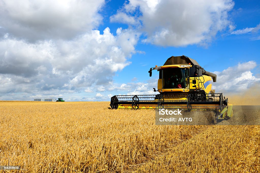 Combine Harvester and Tractor in Barley Field during Harvest Combine Harvester in Barley Field during Harvest Combine Harvester Stock Photo