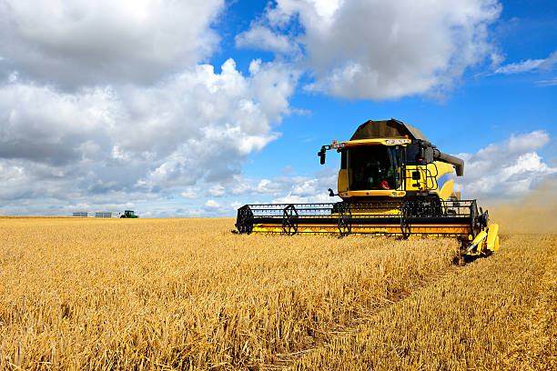 Combine Harvester and Tractor in Barley Field during Harvest Combine Harvester in Barley Field during Harvest agricultural machinery photos stock pictures, royalty-free photos & images