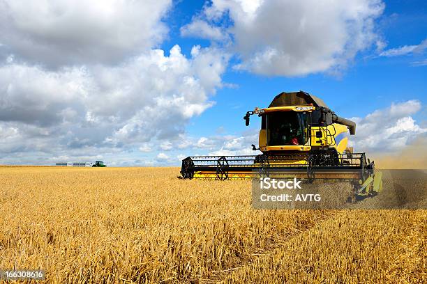 Combine Harvester And Tractor In Barley Field During Harvest Stock Photo - Download Image Now