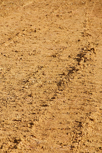 istock Patch of land flatten by track vehicle 166308815