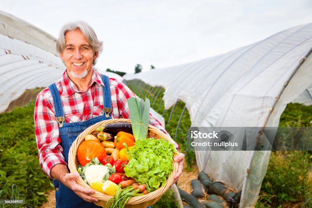 Agriculteur, debout devant son serre - Photo de Devant libre de droits