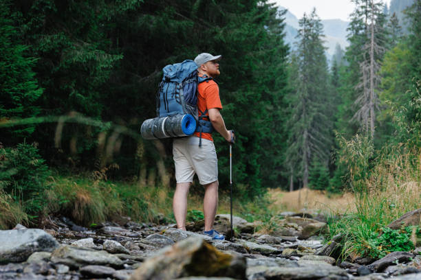istock Traveling man walking in mountains with trekking pole 1663107532