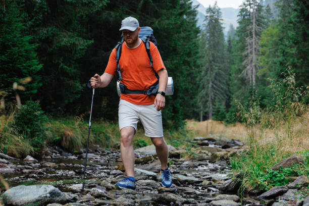 istock Male hiker walking along rocky creek in forest 1663107910