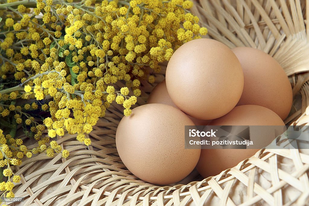 Uova nel Paniere - Foto stock royalty-free di Acacia