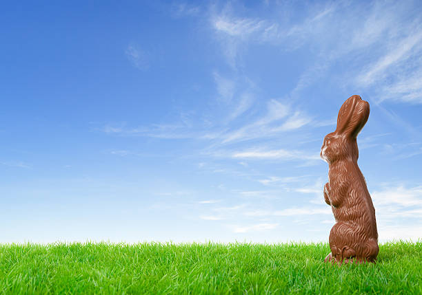 Chocolate easter bunny looking at bright sky Chocolate easter bunny on a green meadow over a bright spring sky. chocolate bunny stock pictures, royalty-free photos & images