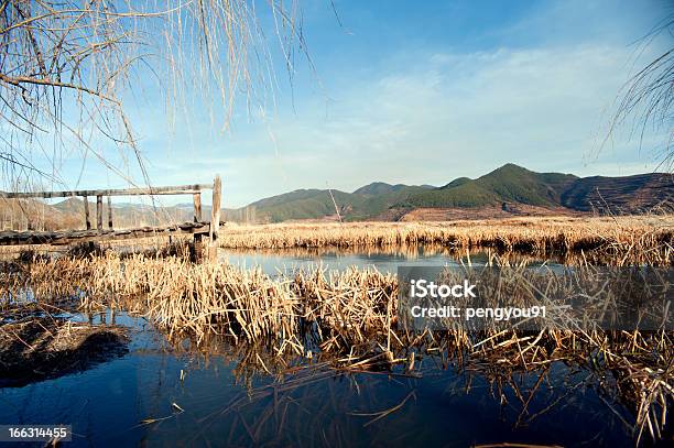 Yunnan China Lugu Lago Paisaje Foto de stock y más banco de imágenes de Aire libre - Aire libre, Anochecer, Azul