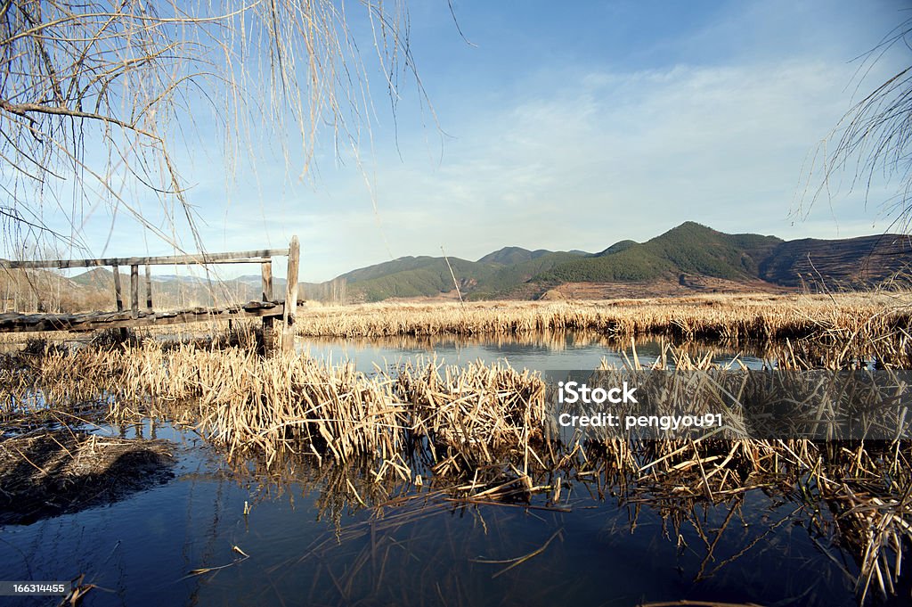 Yunnan, China, o lago Lugu cenário - Foto de stock de Azul royalty-free