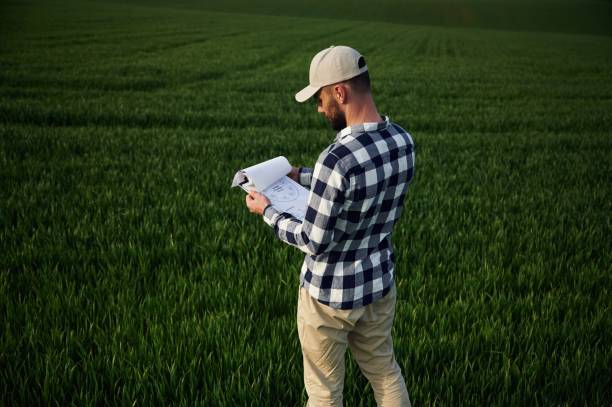 istock Standing, holding document. In cap. Handsome young man is on agricultural field 1663148216