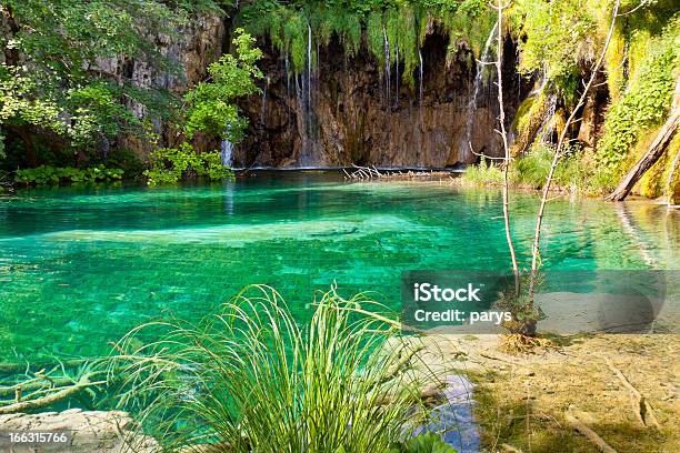 Laghi Di Plitvice Vista Sul Lago Pulita Croazia - Fotografie stock e altre immagini di Acqua - Acqua, Ambientazione esterna, Ambiente