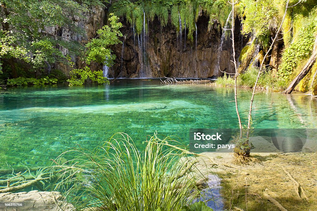 De Plitvice lakes, vista sobre o lago limpa. Croácia. - Royalty-free Ao Ar Livre Foto de stock