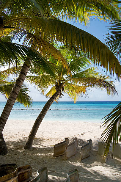istock Fantastic tropical beach on the peninsula of Samana 166316189