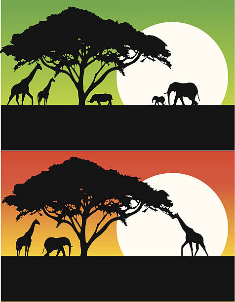 Bекторная иллюстрация safari фон