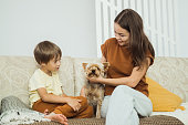 A young woman and a boy play with a Yorkshire terrier sitting on the sofa in the living room. Family leisure. Mom and son have fun with their pet.
