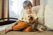 A little boy is sitting on the sofa in the living room and stroking his pet, a dog of the Yorkshire Terrier breed.