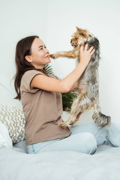 istock A young smiling woman plays with a Yorkshire terrier sitting at home on the bed. 1663179831