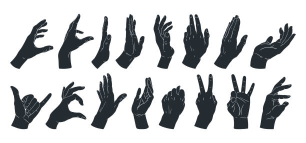 istock Hands gesture silhouettes. Cartoon human signs, peace, okay, call position. Hand palms gestures flat vector illustration set 1663188654