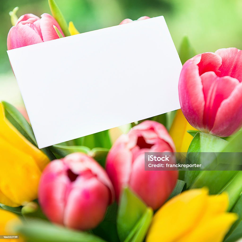 bouquet de fleurs tulipes - Photo de Beauté libre de droits