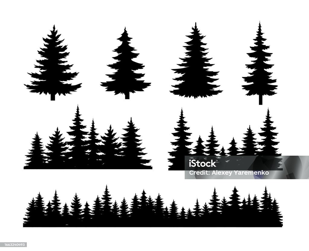Zestaw sylwektorów sosny - Grafika wektorowa royalty-free (Sosna - Drzewo iglaste) Zestaw sylwektorów sosny - Grafika wektorowa royalty-free (Sosna - Drzewo iglaste)