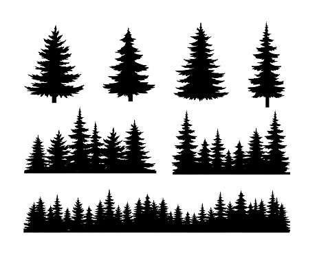 Pine tree silhouettes set. Forest and beautiful natural landscape. Elements for creaeting panorama. Template and layout. Cartoon flat vector collection isolated on white background