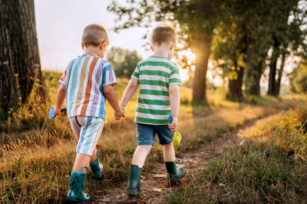 istock Rear view of two cute boys walking in nature together 1663241603