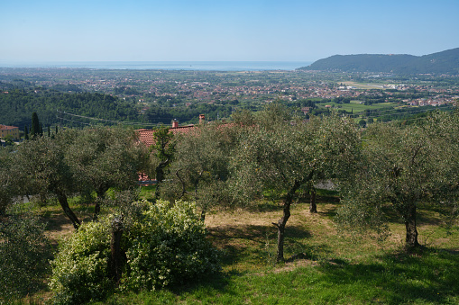 Rural landscape near Fosdinovo, Massa Carrara province, Tuscany, Italy, at summer