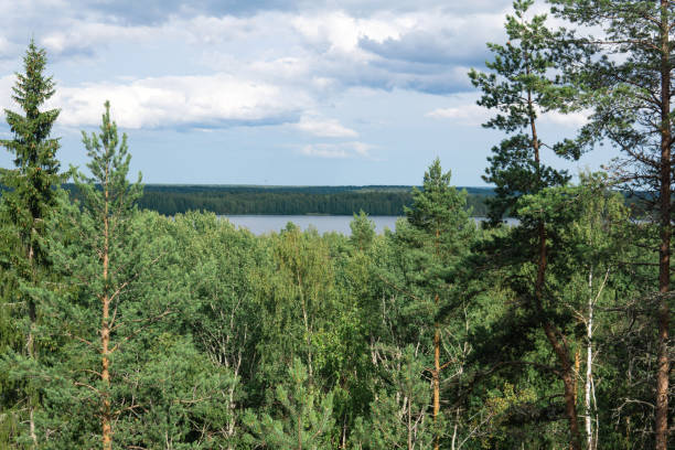 istock natural landscape with forest and lakes, aerial view 1663270044