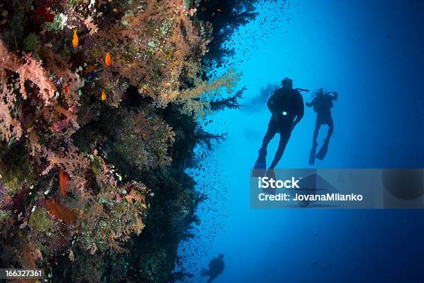 Photo libre de droit de La Plongée Sousmarine De Requin Yolanda Reef banque d'images et plus d'images libres de droit de Récif corallien - Récif corallien, Égypte, Activité