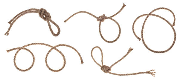 白い背景にロープの結び目。 - hangmans noose ストックフォトと画像