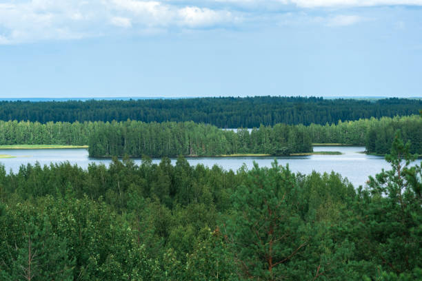 natural landscape with forest and lakes, aerial view