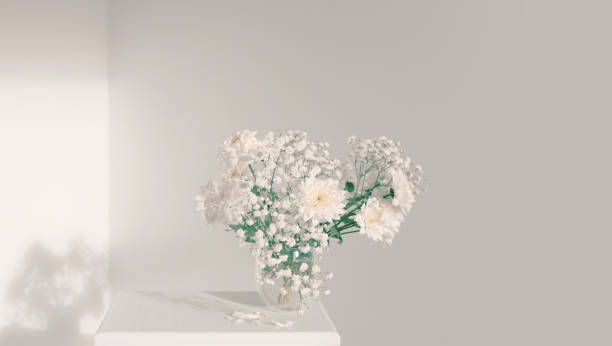 istock White chrysanthemums and gypsophila  flower in glass in interior. Selective soft focus. Minimalist smoke still life. Light and shadow nature horizontal copy space long background. 1663276522