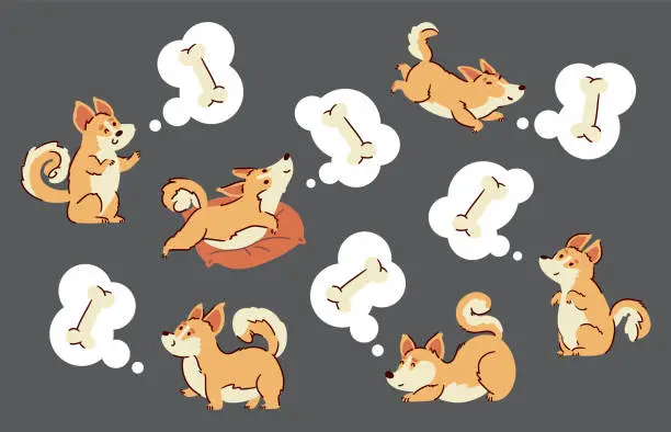 Vector illustration of Welsh corgi dogs are thinking of bone . Hand drawn style cartoon characters . White isolate background . Vector .