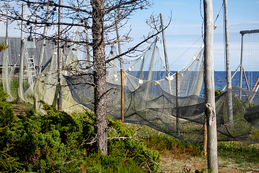 Fishing nets in the foreground. White Sea, Kola Peninsula.