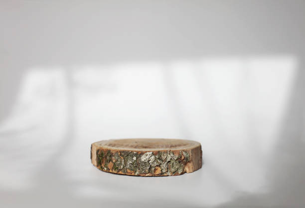 istock Wooden eco rustic pine tree wood circle disc platform podium on white background. Minimal empty display product presentation scene. 1663297672