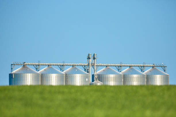 istock Agricultural Silos - Building Exterior, Storage and drying of grains, wheat, corn, soy, sunflower against the blue sky with wheat fields. 1663302573