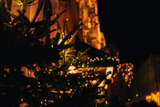 istock Christmas night cityscape in Vienna on december 1663313334