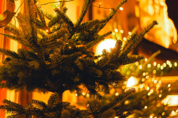 istock Christmas night cityscape in Vienna on december 1663313337