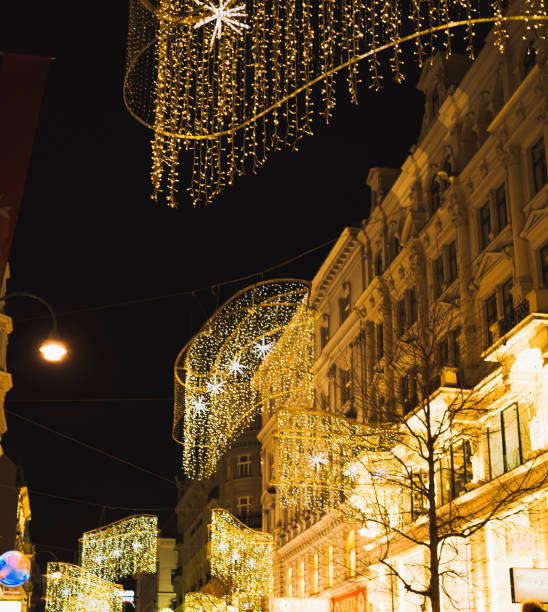 istock Christmas night cityscape in Vienna on december 1663315574