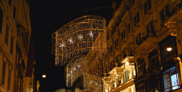 istock Christmas night cityscape in Vienna on december 1663317210