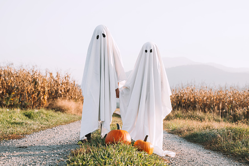 Halloween Kids Holidays Concept. Little children dressed in white sheets like as cute ghosts at countryside at fall season. Photo of white ghosts with orange pumpkins in cornfield background.